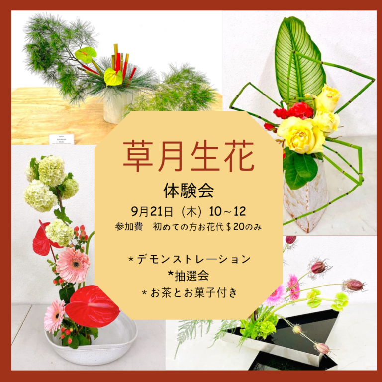草月生花　体験レッスン＄20（お花代のみ）　デモンストレーション＋お茶と和菓子付き